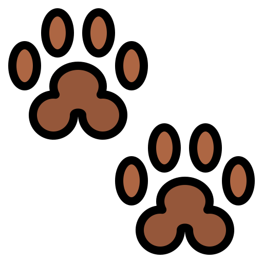 Einzelbetreuung Icon
